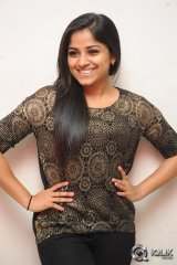 Rehana at Chakkiligintha Movie Audio Success Meet